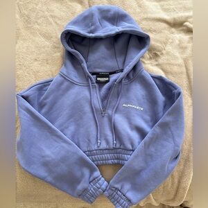 Cropped alphalete hoodie